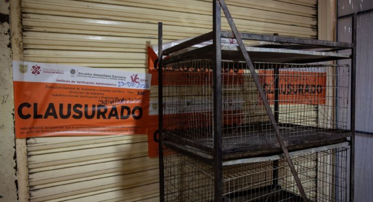 Llaman a reforzar la vigilancia en el Mercado de Sonora contra la venta ilegal de animales