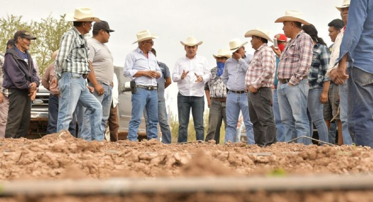 Con liderazgo de Gobernador Durazo se fortalece el campo sonorense; crece 18% actividad primaria