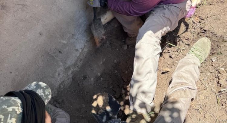 Los restos de cinco hombres y una mujer son hallados en dos fosas en Tamahula, Irapuato