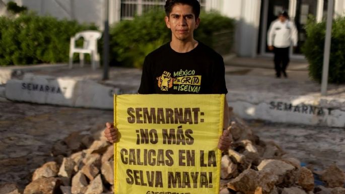 Calica debe reparar daños ambientales en Playa del Carmen: Juzgado federal de Quintana Roo