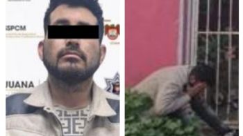 Atacan cuatro perros a niño de 4 años en Tijuana; detienen al padrastro