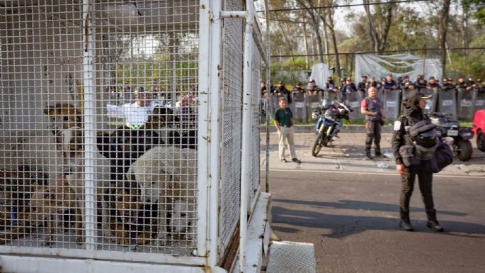 Gobierno de CDMX retira y resguarda animales maltratados del Refugio Franciscano en Cuajimalpa 