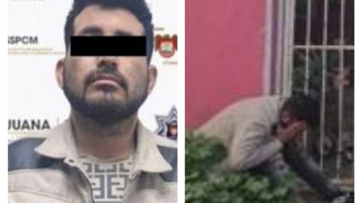 Atacan cuatro perros a niño de 4 años en Tijuana; detienen al padrastro