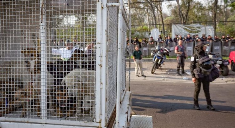 Gobierno de CDMX retiran y resguardan animales maltratados del Refugio Franciscano en Cuajimalpa 