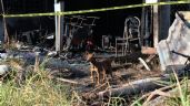 Foto ilustrativa de la nota titulada: Perrito Canelo sobrevive y cuida escombros tras incendio en que murió una familia en Chilpancingo