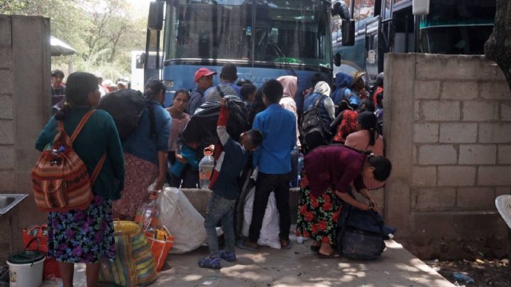 Gobierno de Guerrero acusa a la ONG Tlachinollan de reclutar a jornaleros agrícolas migrantes