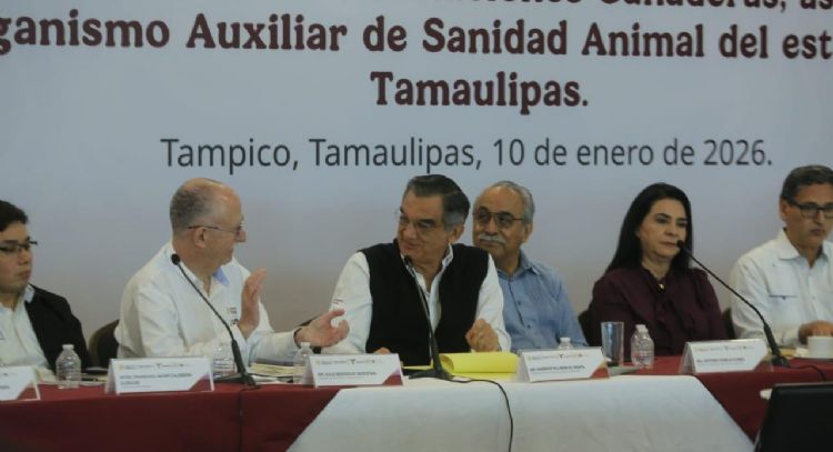 Tamaulipas refuerza acciones contra el gusano barrenador; no se cerrará comercialización del ganado: