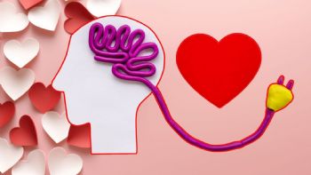 14 de febrero: ¿el amor se siente en el corazón o en el cerebro? Esto dice la ciencia