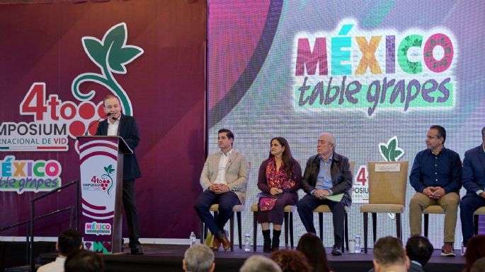 Durazo consolida a Sonora como líder en producción de uva de mesa