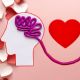 14 de febrero: ¿el amor se siente en el corazón o en el cerebro? Esto dice la ciencia
