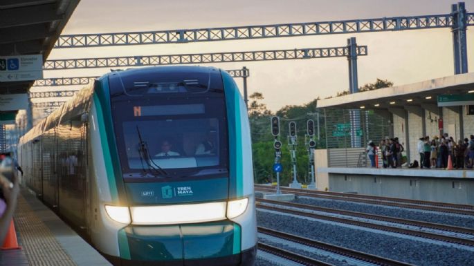 Tribunal ordena al gobierno protección ambiental durante la construcción del Tren Maya