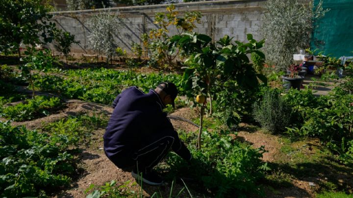 Hamás condena la decisión de Israel de designar zonas de Cisjordania como “propiedad del Estado”