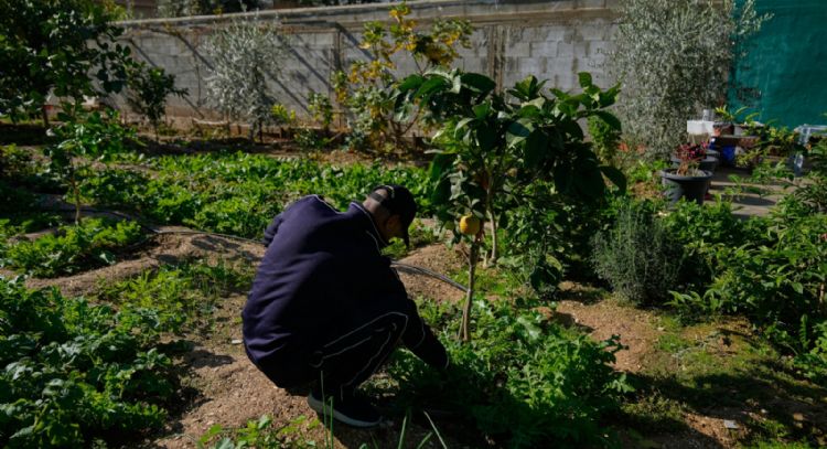 Hamás condena la decisión de Israel de designar zonas de Cisjordania como “propiedad del Estado”