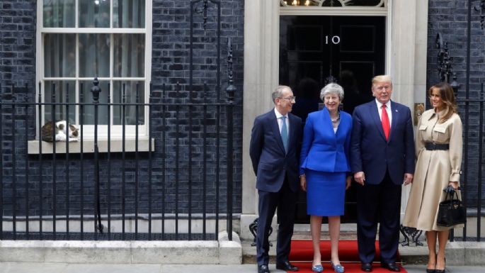 El “primer felino” Larry cumple 15 años como el gato más destacado de la política británica (Video)