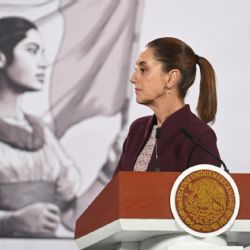 Reforma electoral: entre plurinominales, financiamiento y poder