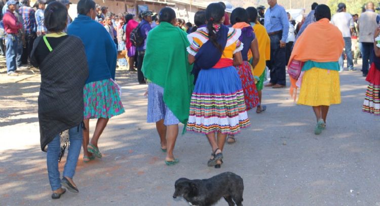 El etnocidio lingüístico en Guerrero: de 25 lenguas originarias a sólo cuatro