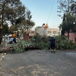 Azotarán vientos fuertes a la CDMX: alerta naranja en nueve alcaldías y amarilla en siete