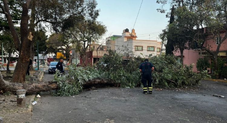 Azotarán vientos fuertes a la CDMX: alerta naranja en nueve alcaldías y amarilla en siete