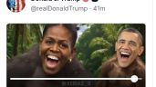 Foto ilustrativa de la nota titulada: Trump publica video que representa a Barack y Michelle Obama como una pareja de monos