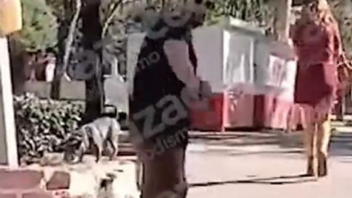 “Amarra al niño": Un sujeto agrede a la madre de un menor presuntamente atacado por pitbulls (Video)