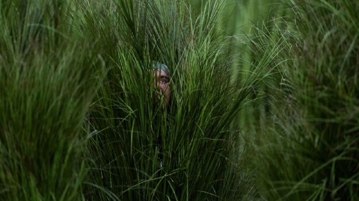 Los “arbustos humanos” de Bad Bunny: así funcionó el truco escénico que se volvió viral (Video)