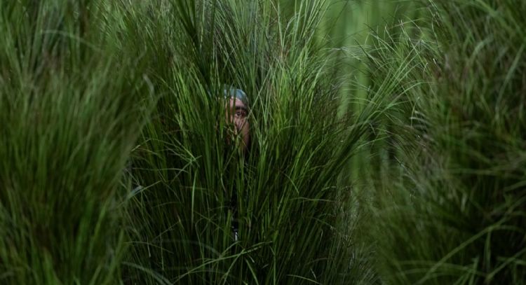 Los “arbustos humanos” de Bad Bunny: así funcionó el truco escénico que se volvió viral (Video)