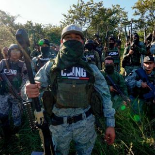 El imperio del "Señor de los Gallos", al amparo de la protección política