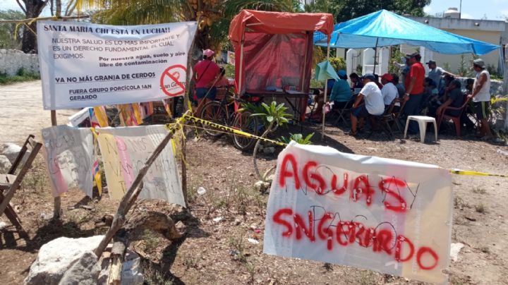 De la porcicultura a la minería: El informe de la devastación ambiental que recibió la ONU en Mérida