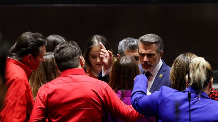 Sergio Mayer regresa a la Cámara de Diputados; “tengo el derecho”, justifica