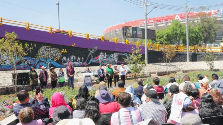 Inauguran el Jardín de Lluvia Coapan; busca aliviar escasez e inundaciones