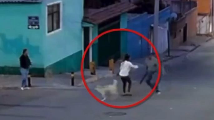 Mujer es atacada con un machete por defender a perros callejeros en Puebla