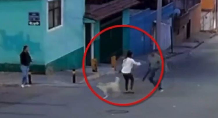 Mujer es atacada con un machete por defender a perros callejeros en Puebla