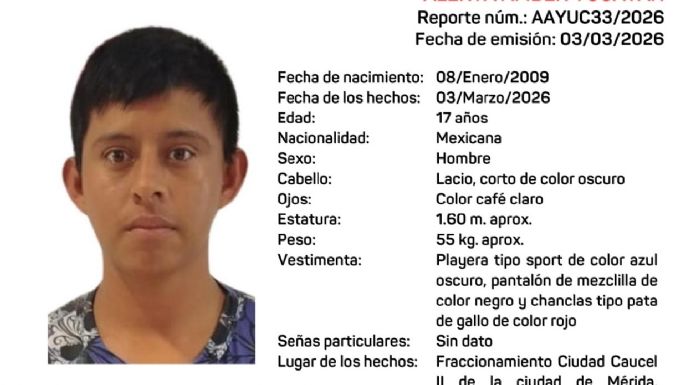 Entre fugas y falta de traductores: la odisea institucional de una madre para recuperar a su hijo