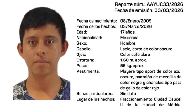 Entre fugas y falta de traductores: la odisea institucional de una madre para recuperar a su hijo