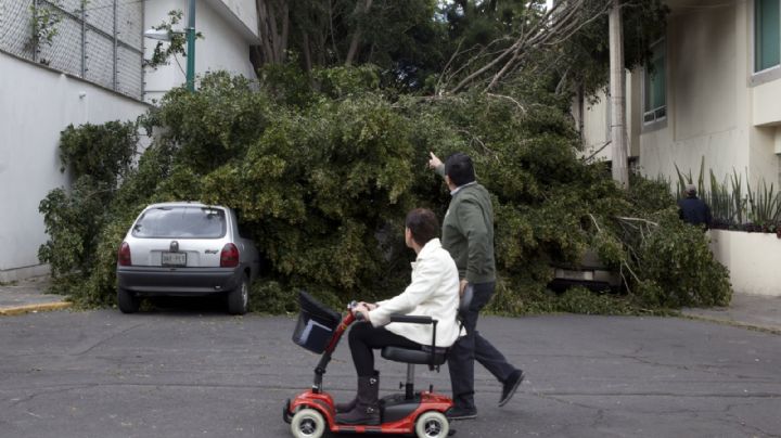 Fuertes vientos activan alerta en toda la CDMX; advierten por frío en madrugada del sábado