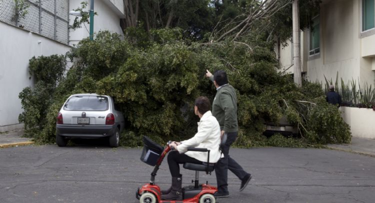 Fuertes vientos activan alerta en toda la CDMX; advierten por frío en madrugada del sábado