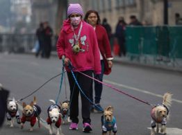 Frío intenso en el arranque de abril: alerta para el miércoles en estas alcaldías de CDMX