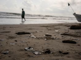 Derrame de crudo en el Golfo y cambio de hábitos hunden a pescaderías; reportan caída de hasta 40%