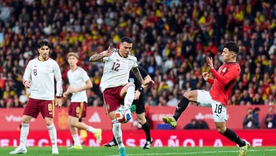 Aficionados entonan cánticos racistas en el partido amistoso España-Egipto