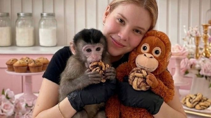 Caso Carmiña Castro: localizan con vida a la influencer reportada como desaparecida en Culiacán