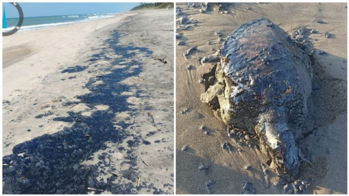 Derrame de petróleo se extiende a largo de casi 170 kilómetros del litoral veracruzano