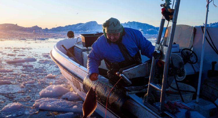 "Hace demasiado calor": Pescadores en Groenlandia, bajo la amenaza del cambio climático