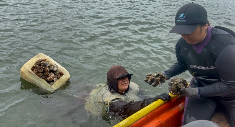 Las pescadoras de Sinaloa reman contra la violencia y el olvido oficial