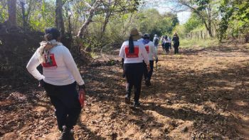 Desde 2010 han asesinado a 35 madres buscadoras, 25 de ellas en gobiernos de la 4T