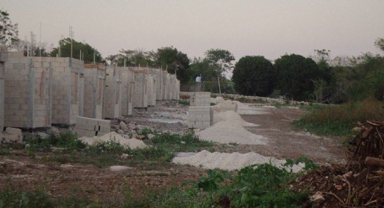Libros antes que ladrillos: el pueblo maya que rechaza casas de Bienestar por una escuela