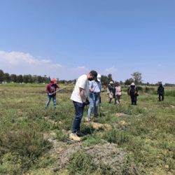 Localizan 219 restos óseos de humanos en los límites de la CDMX y Edomex