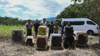 ¡Vuelven a la vida silvestre! Tamaulipas libera especies tras rehabilitación especializada