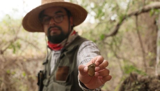 INAH halla pintura rupestre de más de 4 mil años en Hidalgo; ajustan ruta del Tren México-Querétaro