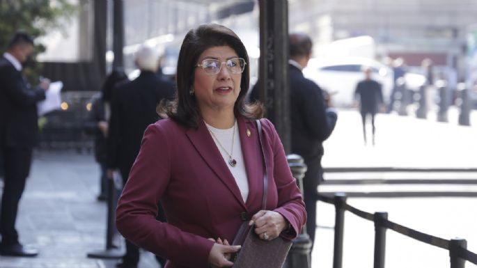 FGJEM investiga de oficio caso de presunto maltrato animal derivado del sacrificio de 10 mil perros