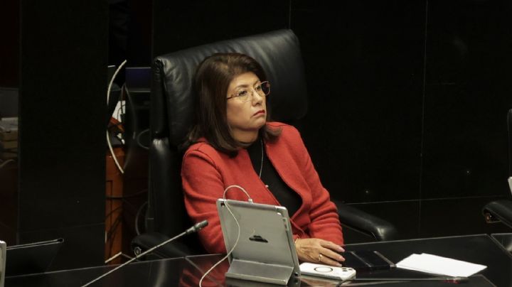 Senadora de Morena admite que ordenó sacrificar a 10 mil perros en Tecámac (Video)